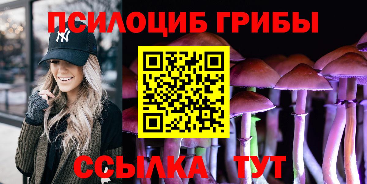 Звенигород  Псилоцибиновые грибы мицелий  Вход с VPN  Псилоцибиновые грибы Psilocybine cubensis 